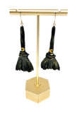 Witch’s Brooms
