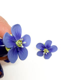 Blue Flax Flower Studs