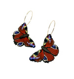 Peacock Butterfly Dangles